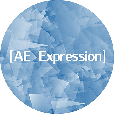 Программирование на JavaScript для Adobe After Eff_0.jpg